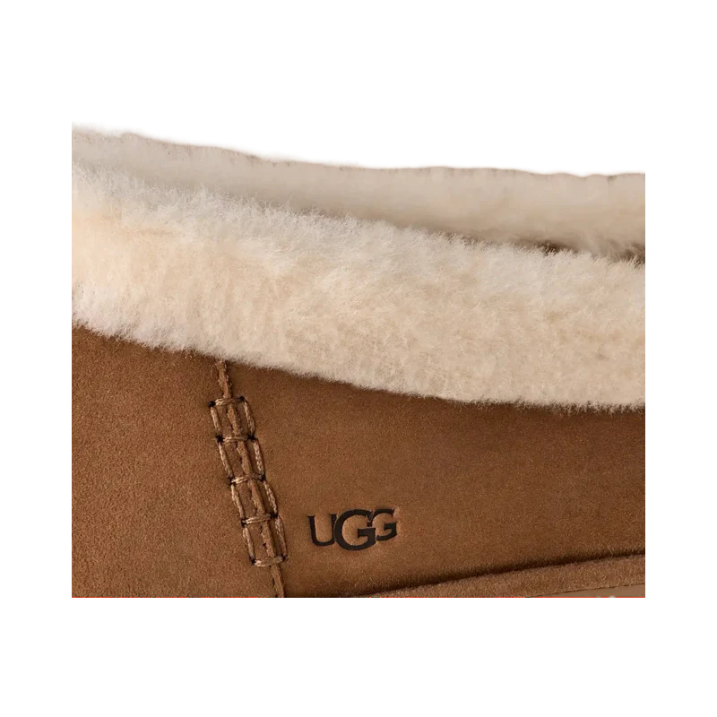Ugg
 
Zora
 
Ballet
 
Flat